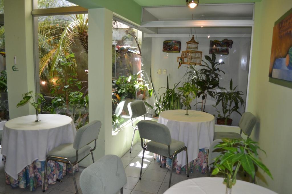 Hotel Amalfi Ασουνσιόν Εξωτερικό φωτογραφία